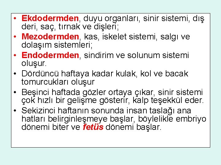  • Ekdodermden, duyu organları, sinir sistemi, dış deri, saç, tırnak ve dişleri; •