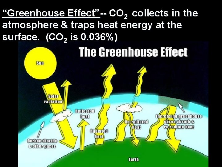 “Greenhouse Effect”-- CO 2 collects in the atmosphere & traps heat energy at the “Greenhouse Effect”-- CO 2 collects in the atmosphere & traps heat energy at the
