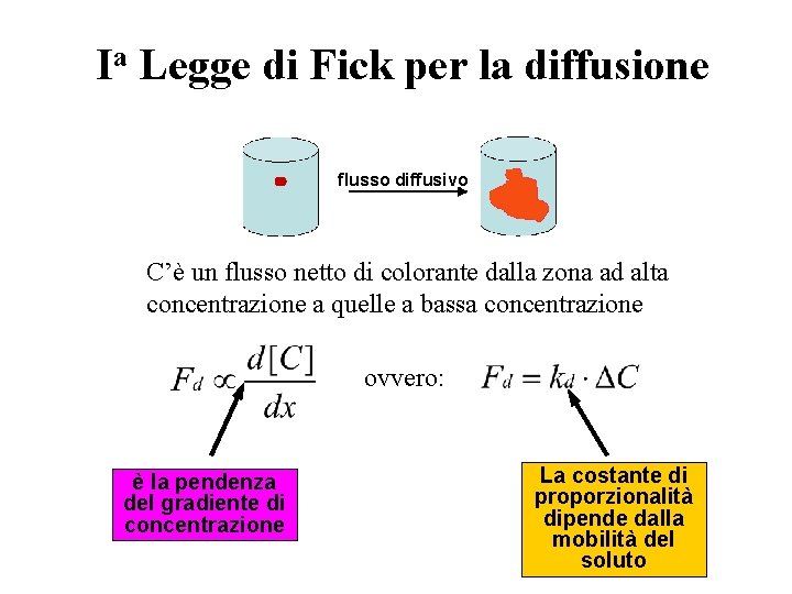 Ia Legge di Fick per la diffusione flusso diffusivo C’è un flusso netto di