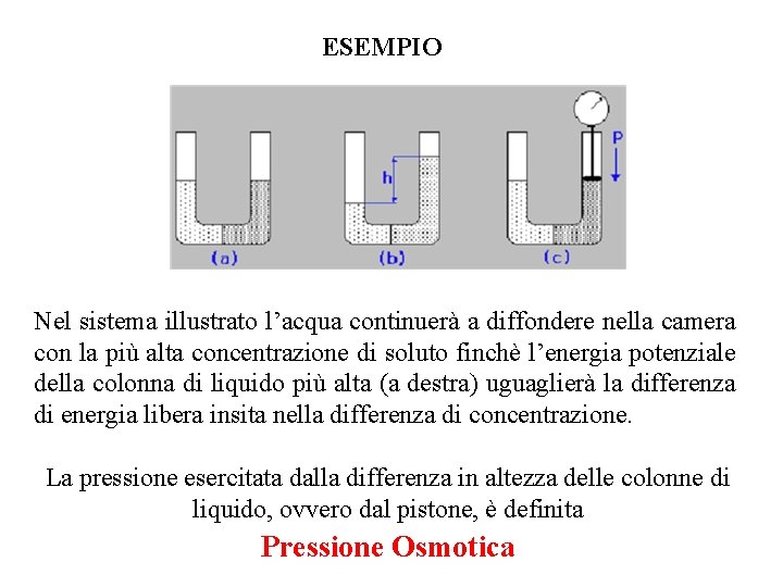 ESEMPIO Nel sistema illustrato l’acqua continuerà a diffondere nella camera con la più alta