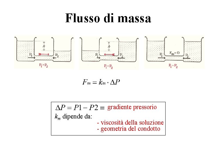 Flusso di massa gradiente pressorio km dipende da: - viscosità della soluzione - geometria