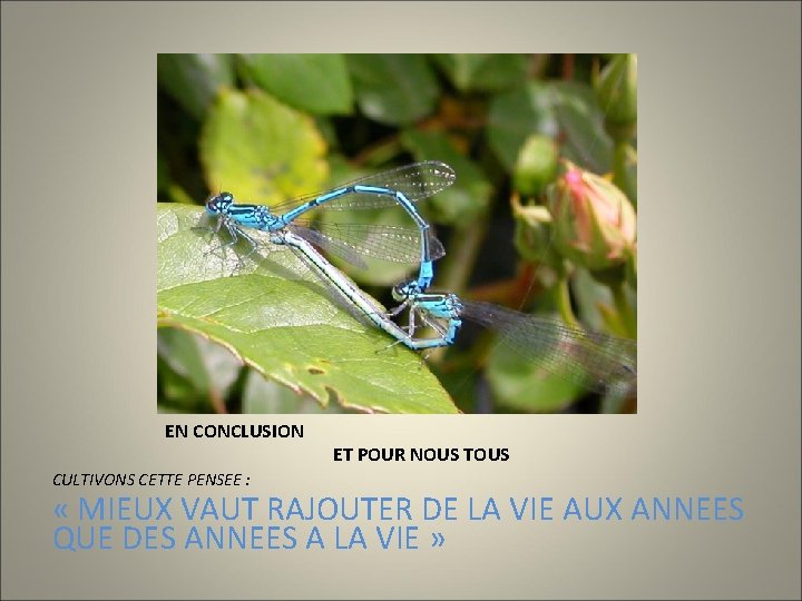 EN CONCLUSION CULTIVONS CETTE PENSEE : ET POUR NOUS TOUS « MIEUX VAUT RAJOUTER