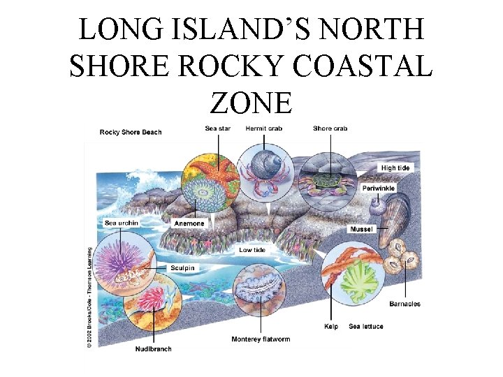 LONG ISLAND’S NORTH SHORE ROCKY COASTAL ZONE 