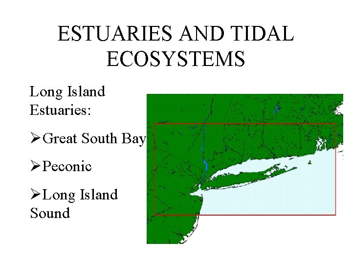 ESTUARIES AND TIDAL ECOSYSTEMS Long Island Estuaries: ØGreat South Bay ØPeconic ØLong Island Sound