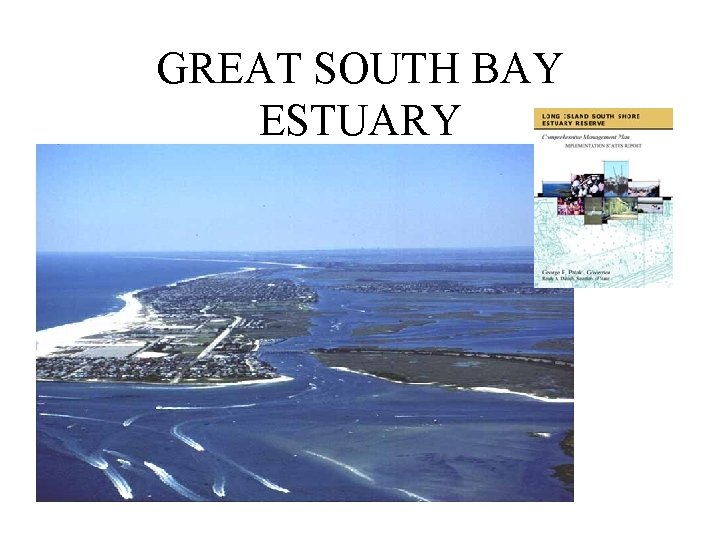 GREAT SOUTH BAY ESTUARY 