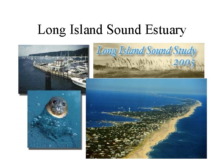 Long Island Sound Estuary 