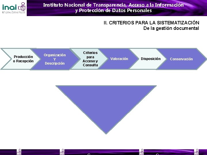 Instituto Nacional de Transparencia, Acceso a la Información y Protección de Datos Personales II.