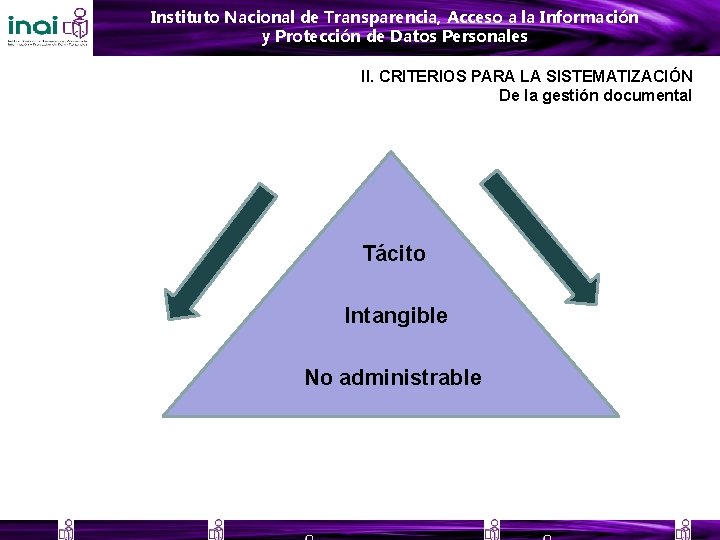 Instituto Nacional de Transparencia, Acceso a la Información y Protección de Datos Personales II.