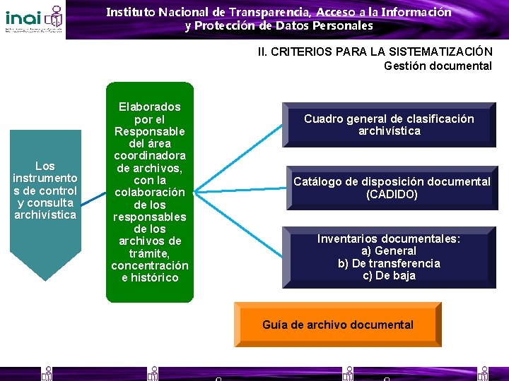 Instituto Nacional de Transparencia, Acceso a la Información y Protección de Datos Personales II.