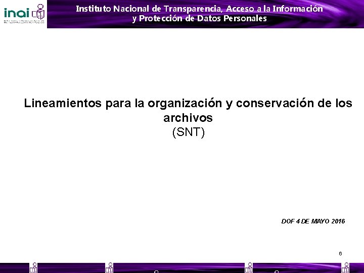 Instituto Nacional de Transparencia, Acceso a la Información y Protección de Datos Personales Lineamientos