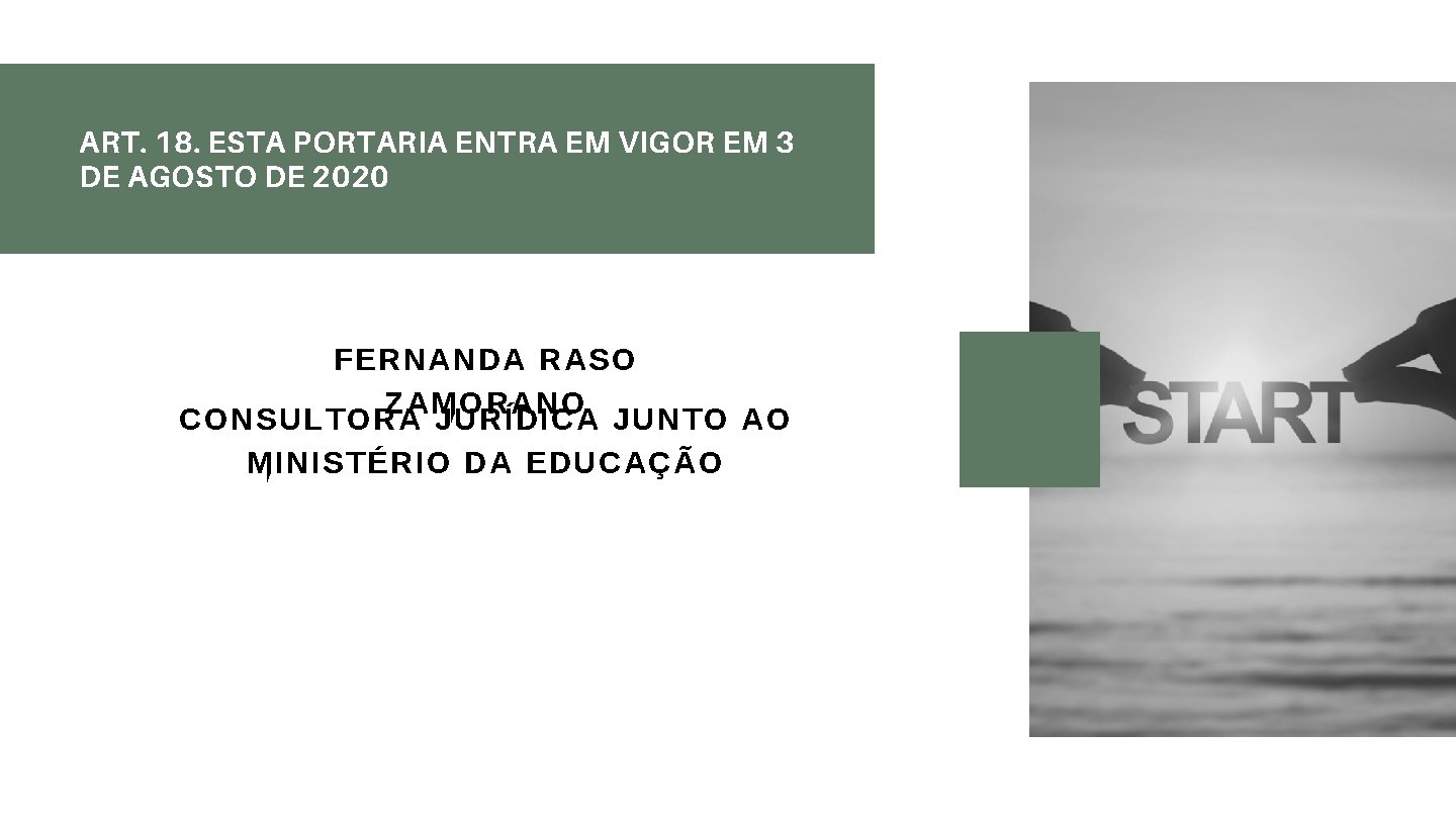 ART. 18. ESTA PORTARIA ENTRA EM VIGOR EM 3 DE AGOSTO DE 2020 FERNANDA