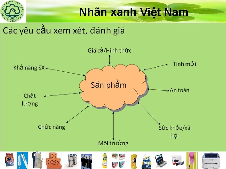 Nhãn xanh Việt Nam 