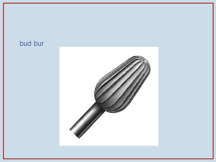  • bud bur 