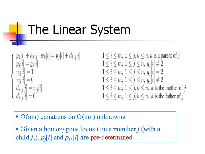 The Linear System § O(mn) equations on O(mn) unknowns. § Given a homozygous locus