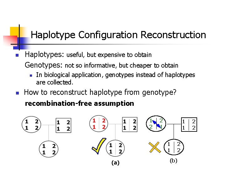 Haplotype Configuration Reconstruction n Haplotypes: useful, but expensive to obtain Genotypes: not so informative,