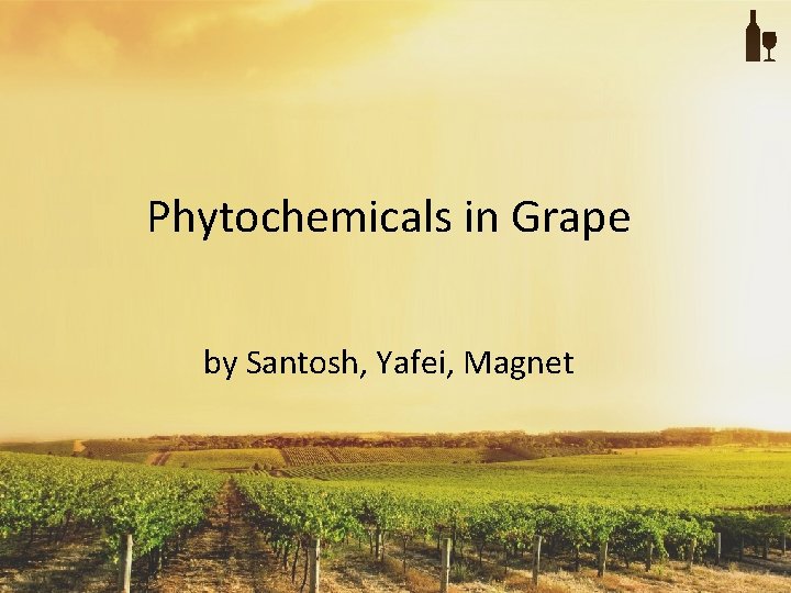Phytochemicals in Grape by Santosh, Yafei, Magnet 