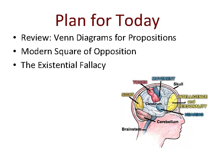 Plan for Today • Review: Venn Diagrams for Propositions • Modern Square of Opposition