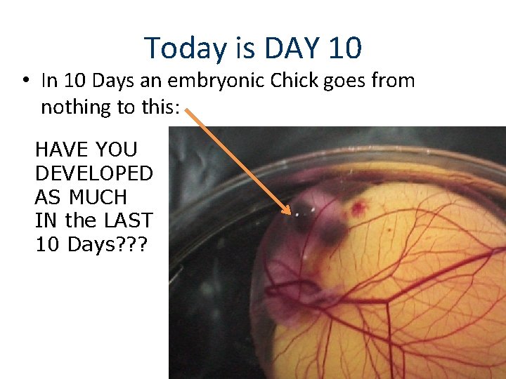 Today is DAY 10 • In 10 Days an embryonic Chick goes from nothing