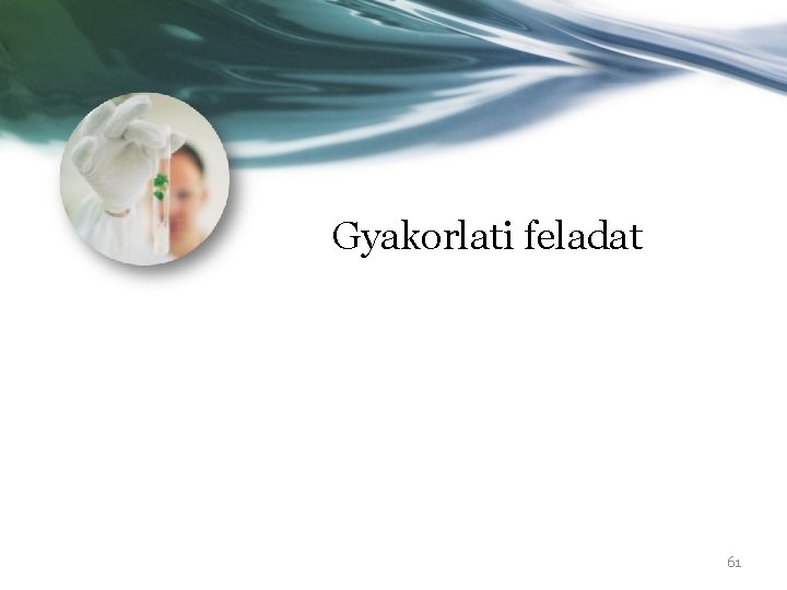 Gyakorlati feladat 61 