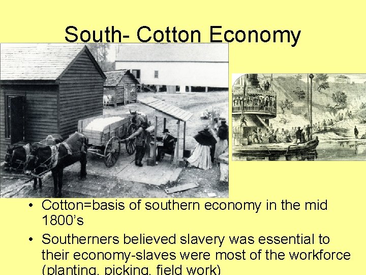 South- Cotton Economy • Cotton=basis of southern economy in the mid 1800’s • Southerners