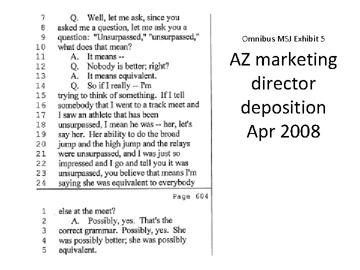 Omnibus MSJ Exhibit 5 AZ marketing director deposition Apr 2008 