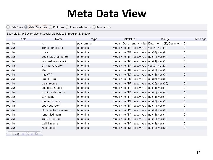 Meta Data View 17 Meta Data View 17