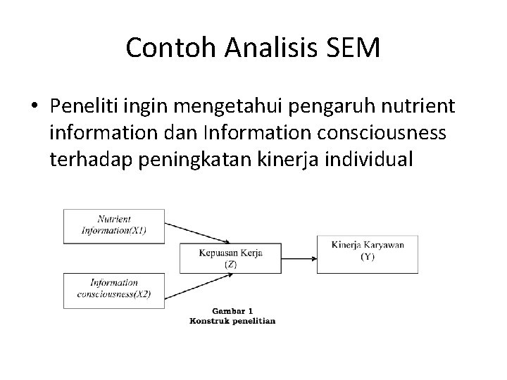 Contoh Analisis SEM • Peneliti ingin mengetahui pengaruh nutrient information dan Information consciousness terhadap