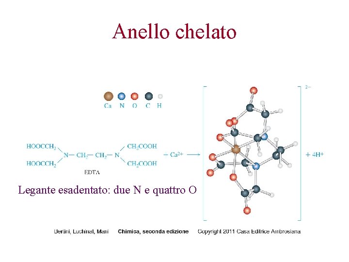 Anello chelato Legante esadentato: due N e quattro O 