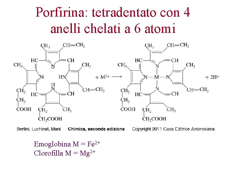 Porfirina: tetradentato con 4 anelli chelati a 6 atomi Emoglobina M = Fe 2+