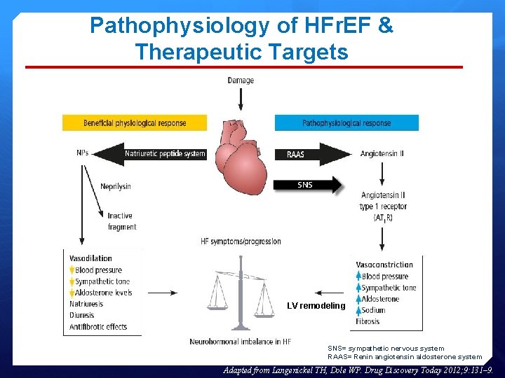 Pathophysiology of HFr. EF & Therapeutic Targets SNS LV remodeling SNS= sympathetic nervous system