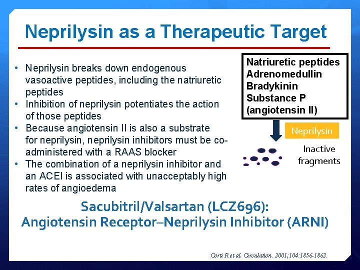 Neprilysin as a Therapeutic Target • Neprilysin breaks down endogenous vasoactive peptides, including the