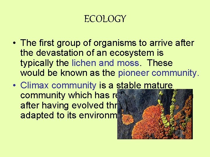 ECOLOGY • The first group of organisms to arrive after the devastation of an