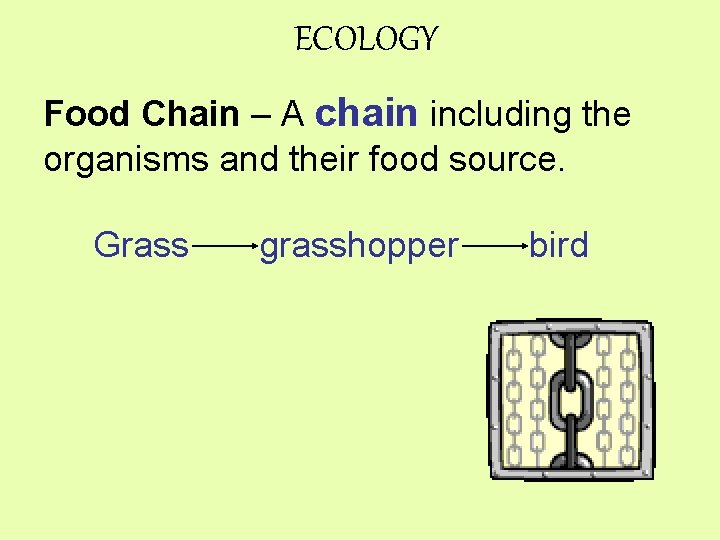ECOLOGY Food Chain – A chain including the organisms and their food source. Grass