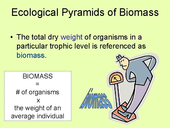 Ecological Pyramids of Biomass • The total dry weight of organisms in a particular