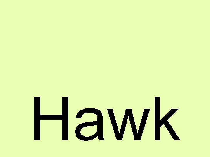 Hawk 