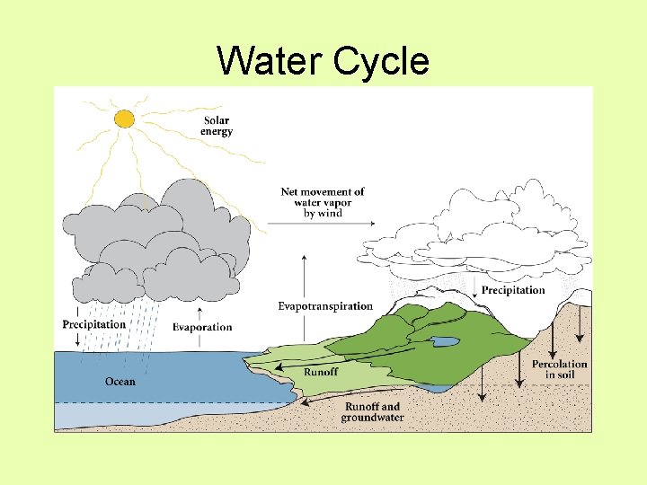 Water Cycle 