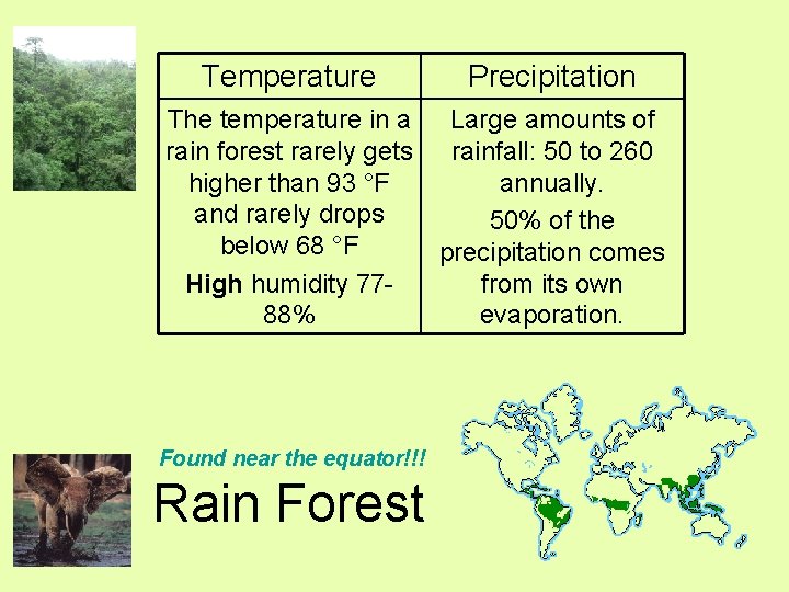 Temperature Precipitation The temperature in a Large amounts of rain forest rarely gets rainfall: