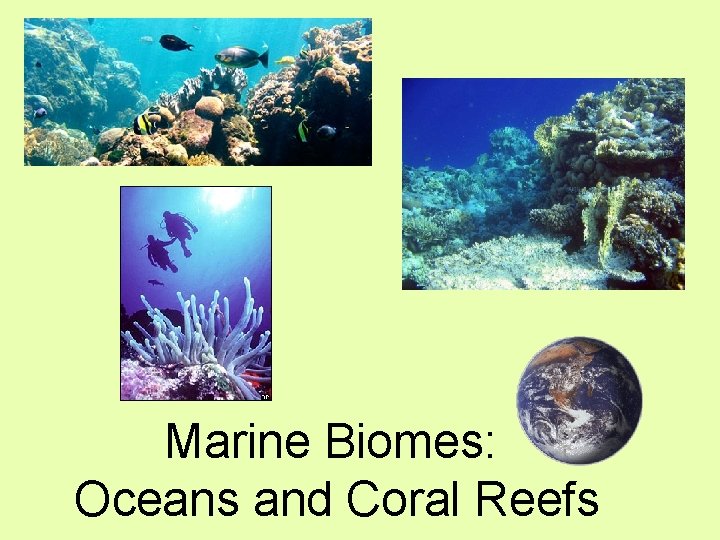 Marine Biomes: Oceans and Coral Reefs 