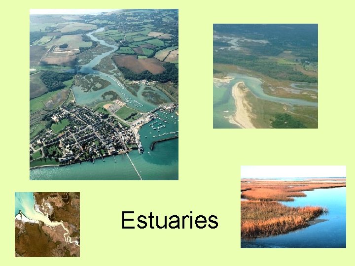 Estuaries 