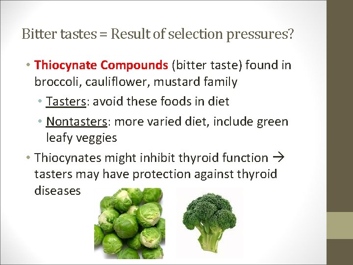 Bitter tastes = Result of selection pressures? • Thiocynate Compounds (bitter taste) found in