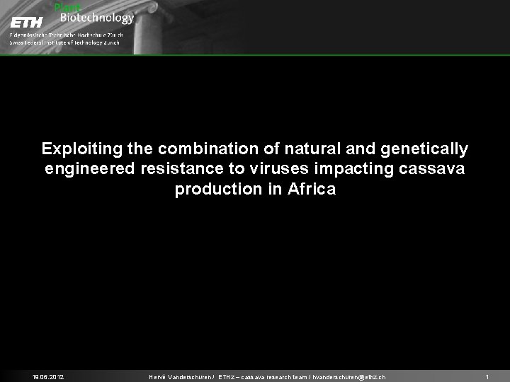 Exploiting the combination of natural and genetically engineered resistance to viruses impacting cassava production