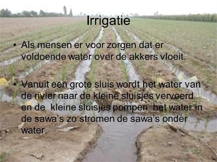 Irrigatie Wat is irrigatie? Als de mensen ervoor zorgen dat er voldoende water over