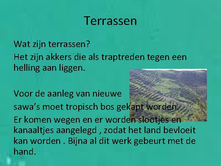 Terrassen Wat zijn terrassen? Het zijn akkers die als traptreden tegen een helling aan