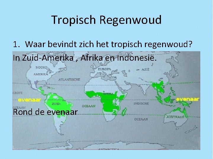 Aardrijkskunde Thema 1 Water De Inhoud Tropisch Regenwoud