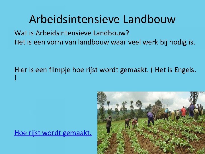 Arbeidsintensieve Landbouw Wat is Arbeidsintensieve Landbouw? Het is een vorm van landbouw waar veel