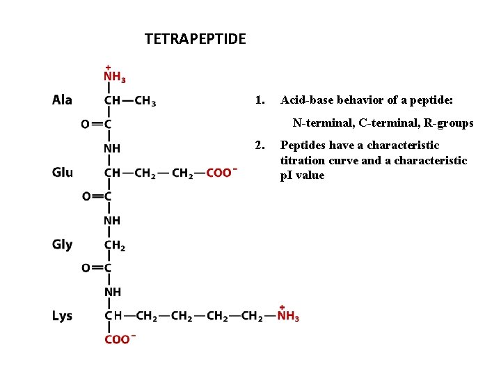 TETRAPEPTIDE 1. Acid-base behavior of a peptide: N-terminal, C-terminal, R-groups 2. Peptides have a