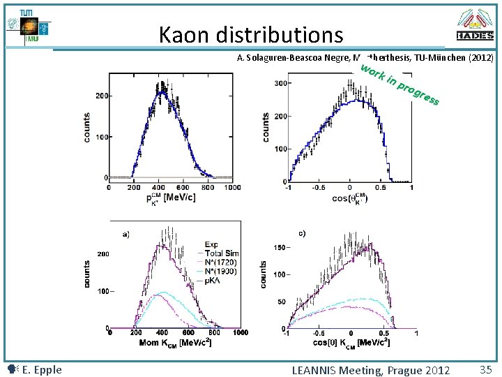 Kaon distributions A. Solaguren-Beascoa Negre, Mastherthesis, TU-München (2012) wo rk E. Epple in p
