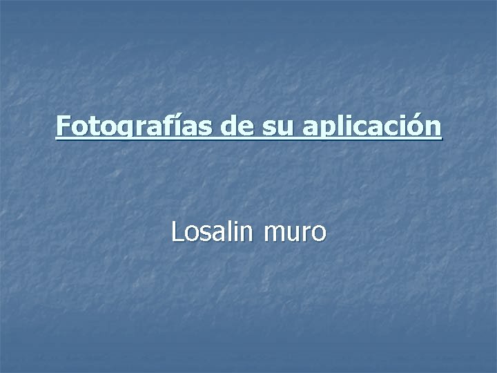 Fotografías de su aplicación Losalin muro 