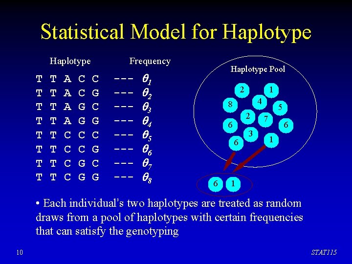 Statistical Model for Haplotype T T T T A A C C C G