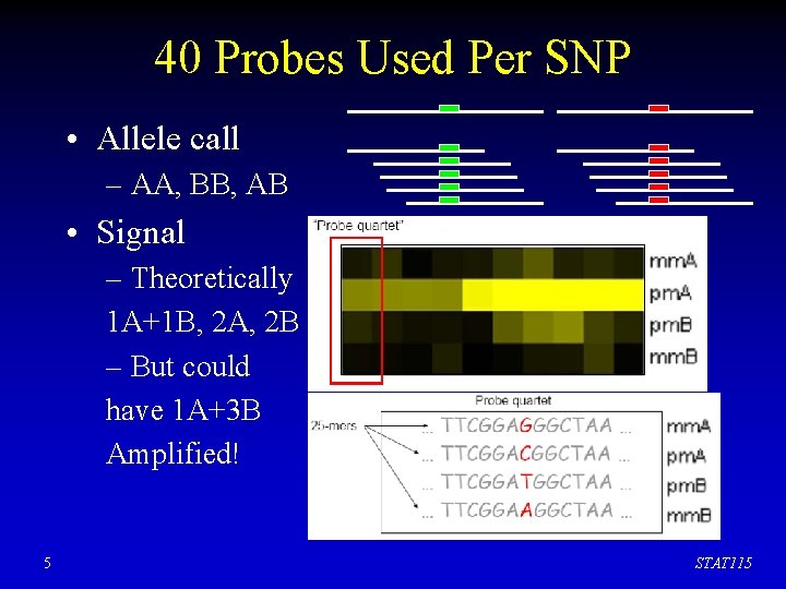 40 Probes Used Per SNP • Allele call – AA, BB, AB • Signal